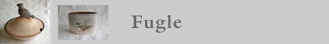 Fugle galleri