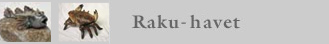 Raku-heste galleri
